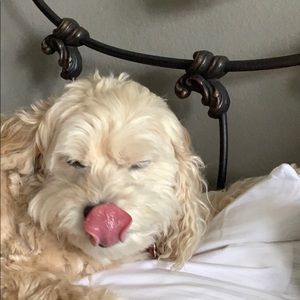 Meet your Posher, Joanne